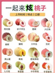 日本水蜜桃一产区和二产区的稀有品种介绍及品鉴指南