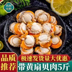 小红贝扇贝去除内脏图解_小红贝清洗食用全攻略