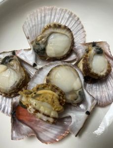 红刺贝与栉孔扇贝区别_口感风味大不同