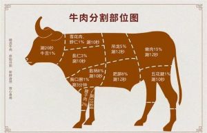 黑牛嫩肉火锅片是牛的什么部位_牛肉部位不同，风味各异！