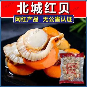 全贝和扇贝有什么区别_大小肉质有别