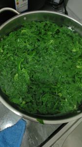 荠荠菜包饺子用不用焯水_荠菜焯水去草酸，口感好营养高！