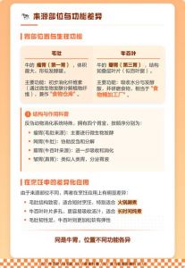 牛百叶和黑毛肚什么区别_牛百叶爽脆 嫩滑黑毛肚，火锅凉拌皆适宜！