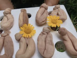节子与肥肠的区别_四川风味，口感丰富