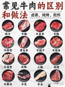 牛柳和牛腱子肉有什么区别_牛腱子卤炖，牛柳炒馅，肉食两相宜