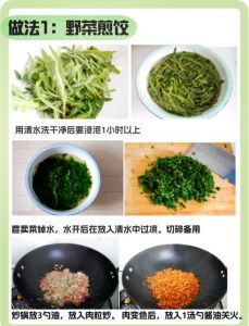 苦苣菜食用方法_苦苣菜4种做法，清爽解暑又营养