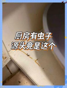 房间里有虫子偷吃黄瓜，如何判断黄瓜是否还能食用并正确处理，避免误食影响家人饮食安全