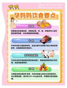母乳と妊活します弐ppt：哺乳期与备孕饮食中的食材选择、营养搭配方法与注意事项指南
