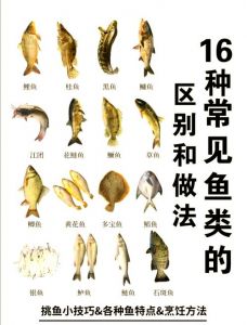 100种常见淡水小鱼图解_童年河鲜，味蕾记忆