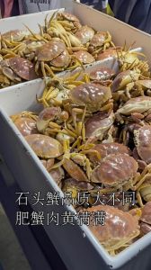 石头蟹和石蟹区别_石头蟹小巧鲜嫩，油炸香美