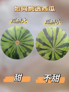 51黑网曝光西瓜吃瓜：夏日西瓜挑选、保存与清甜吃法全解析