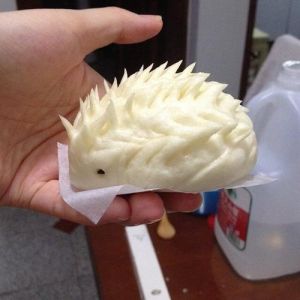 野刺猬的做法大全家常_刺猬肉怎么处理？可炖可炒味道好