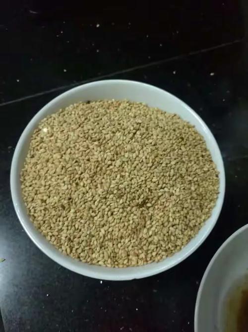 公交旅行by糖醋汆肉沿途寻味地方小吃,记录一场关于烟火与人情的美食旅程 公交旅行by糖醋汆肉沿途寻味地方小吃,记录一场关于烟火与人情的美食旅程