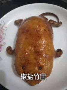 竹鼠菜谱大全及做法_竹鼠肉鲜做法多，清炖红烧煲汤尝！