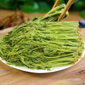 腌制香春芽嫩芽_春天吃香椿，油焖香椿最勾魂！
