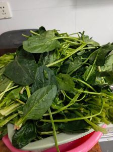 菠菜素馅饺子的做法_鲜香健康，简单美味！
