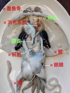超市买的墨鱼仔怎么处理_去牙洗净，快焯快炒，鲜嫩可口！