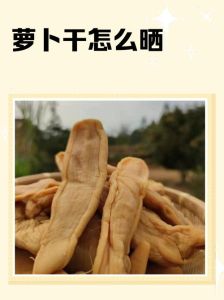 晒萝卜干的切法图解_腌萝卜干，晒干加调料，香脆下饭！