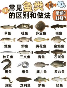 草鱼和鲫鱼的区别_鲫鱼草鱼有啥不一样？