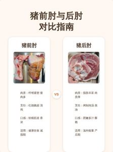 猪前肘和后肘吃起来的区别_猪前肘炖汤，后肘炖酱菜