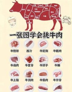 牛腱子肉在哪个部位图_前腱后腱肉有别，火锅炖煮各适宜