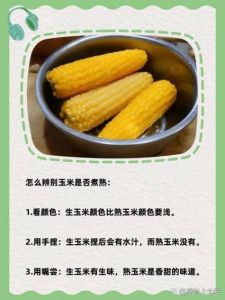 玉米开锅煮多久才能熟_玉米怎么煮？甜糯玉米不同时，健康煮法看这里！