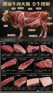 三角肥牛是牛的什么部位_三角肥牛脖仁口感对比，涮炖皆宜