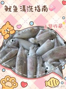 小鱿鱼头怎么处理干净_清洗冰鲜鱿鱼头的方法和技巧