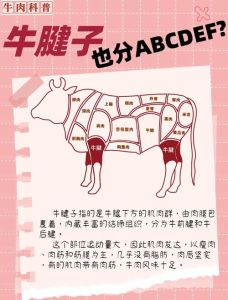 牛哪个部位比较嫩_牛肉不同部位做法，炒炖烤卤都适合