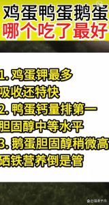 鸡蛋鸭蛋鹅蛋区别营养_鸡蛋鸭蛋鹅蛋怎么选？