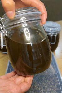 花椒油的做法_自制青花椒油，简单又香！