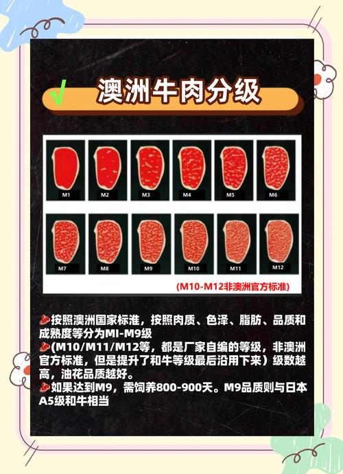 牛排一般分为几分熟_牛排熟度怎么选？不同部位和口味的搭配秘诀