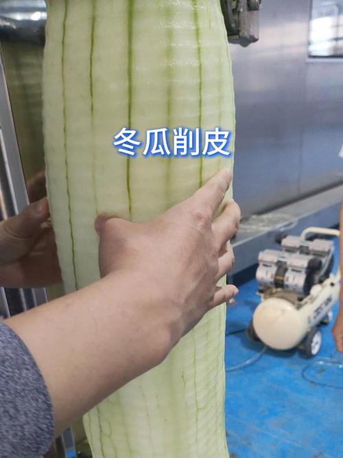 冬瓜怎么去皮图解_刷洗切割去皮，冬瓜芋头处理小窍门