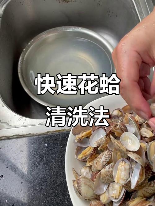 花蛤怎么吐沙最干净_活花蛤温水泡，快速吐沙肉质鲜