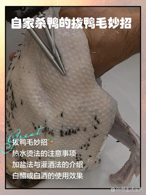 怎样杀鸭拔毛又快又干净_热水加碱，手套镊子，快速干净