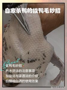 怎样杀鸭拔毛又快又干净_热水加碱，手套镊子，快速干净