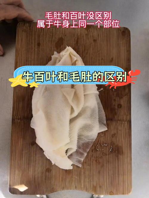 毛肚和百叶的区别图_毛肚百叶别混淆，火锅美味各不同！