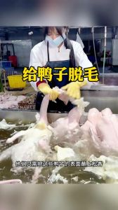 鸭子细毛怎么好脱毛_醉酒鸭毛易拔，吃出鲜美汤