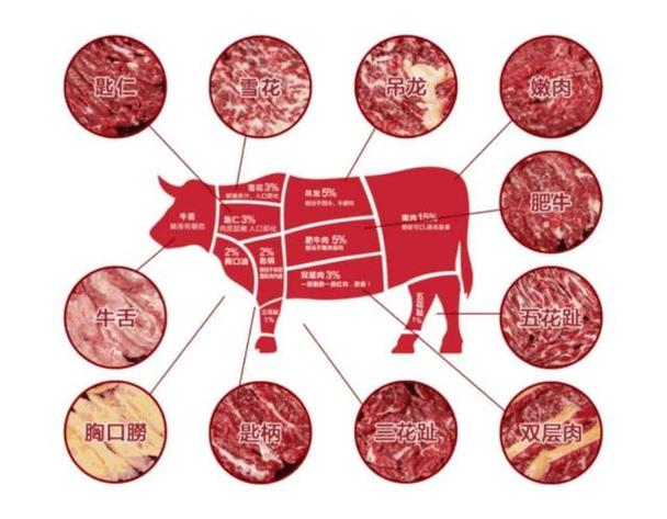 牛那个位置肉最嫩_牛肉营养多，嫩肉快烹老肉炖，挑好肉轻松！