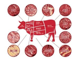 牛那个位置肉最嫩_牛肉营养多，嫩肉快烹老肉炖，挑好肉轻松！