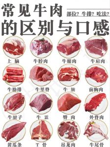 牛里脊位置图_嫩肉快炒涮，香肉煎烤炖！