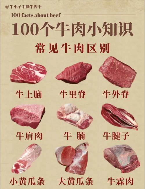 肥牛是什么肉是猪肉吗_真牛肉加工，鲜嫩美味