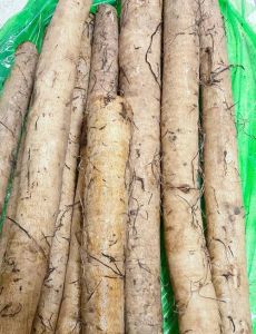 牛蒡是牛身上哪个部位_牛杂里的牛蒡是牛胰脏，高蛋白低脂肪，广东牛杂特色！