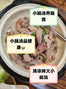 酸辣小肠汤的做法_家常美味做法分享