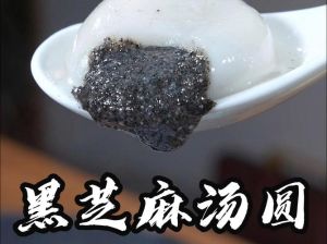 黑芝麻汤圆馅的做法_香甜软糯手工馅料教程