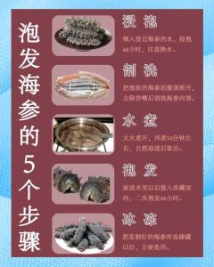 海参的正确泡发方法_海参泡发方法多，清水最温和，温水快，冷藏口感佳
