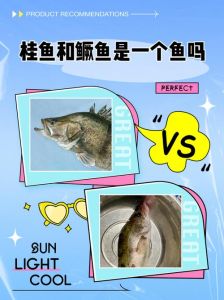 鳜鱼与桂鱼是一种鱼吗_同名珍馐，清蒸红烧皆美味