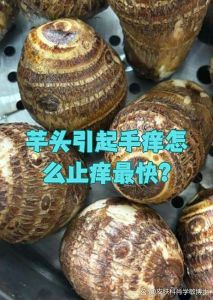 芋头汁液弄到手上发痒怎么办_芋头汁皮肤过敏别抓，温水泡或冷敷缓解