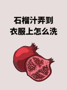 芋头汁液弄到衣服上怎么洗掉_芋头渍用醋水泡洗，轻柔搓洗，晾干勿烘干