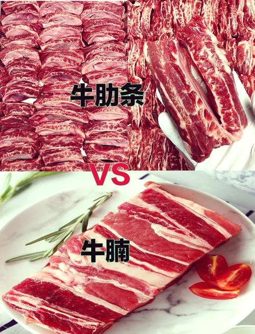牛肋条和牛腩区别图_哪个更适合你？